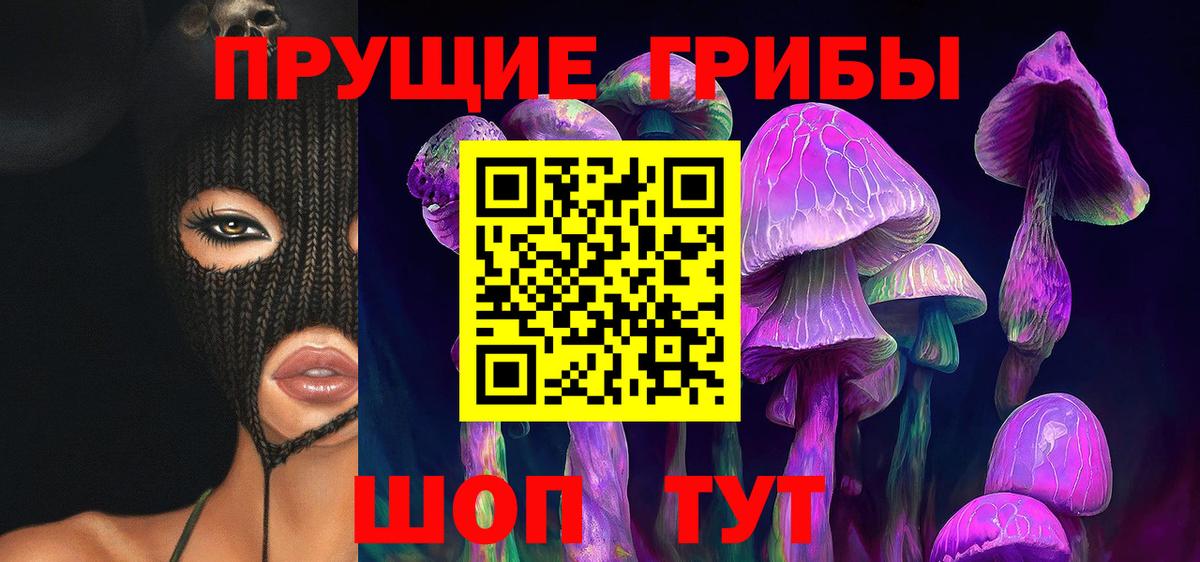 Галлюциногенные грибы Psilocybe Кингисепп