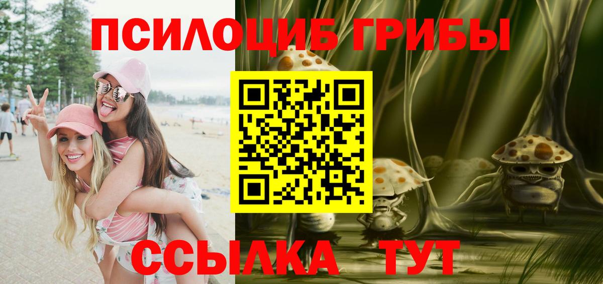 Галлюциногенные грибы прущие грибы  Галлюциногенные грибы Psilocybine cubensis  Вход с VPN  Кингисепп 